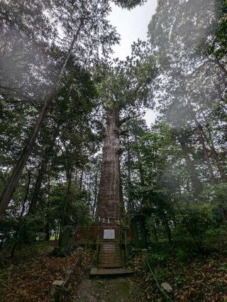 麻賀多神社の参拝記録(おがおが1262さん)