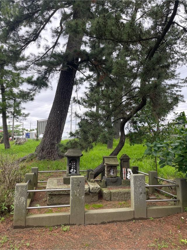千葉県成田市北須賀1626番地 水神社の写真1