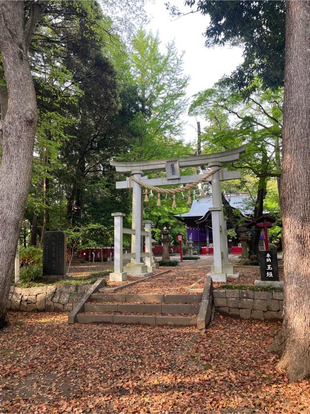 麻賀多神社(奥宮)の参拝記録(ねこチャリさん)