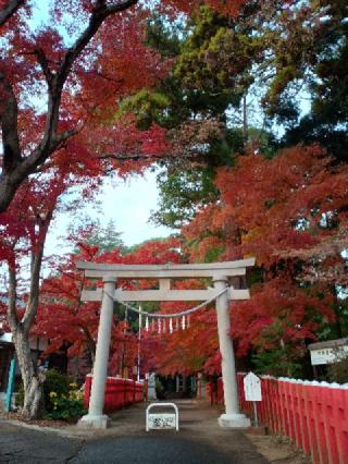 船形麻賀多神社の参拝記録(ジョージ。さん)