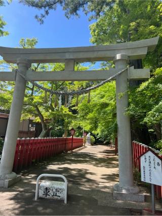 船形麻賀多神社の参拝記録(⛩️🐍🐢まめ🐢🐍⛩️さん)