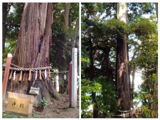 船形麻賀多神社の参拝記録(Daisy ♂さん)