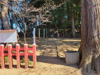 伊都許利神社（金刀比羅神社）の参拝記録(まっきーさん)