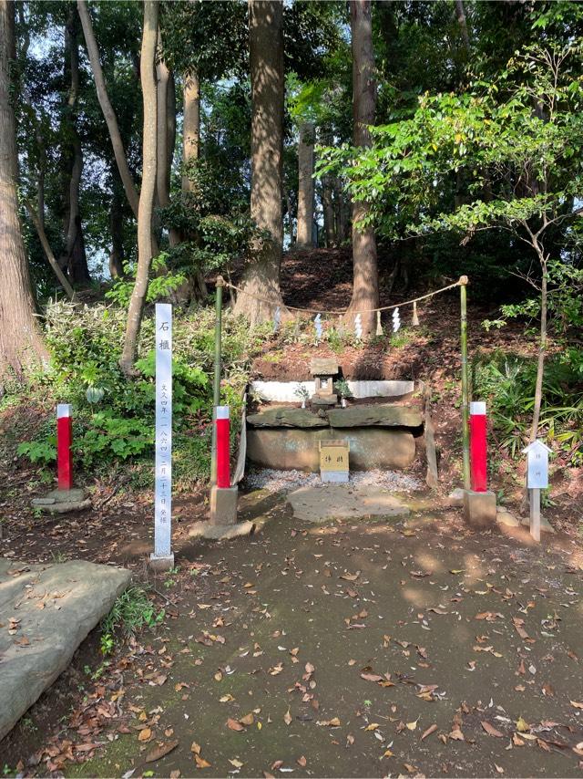 伊都許利神社（金刀比羅神社）の参拝記録10