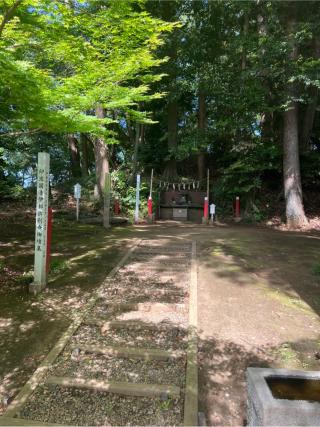 伊都許利神社（金刀比羅神社）の参拝記録(⛩️🐍🐢まめ🐢🐍⛩️さん)