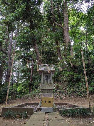 伊都許利神社（金刀比羅神社）の参拝記録(はしどいさん)