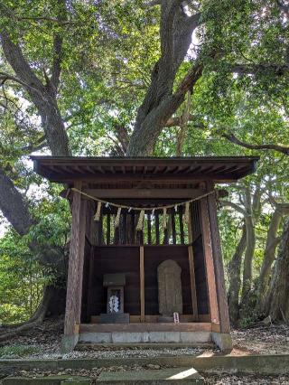 愛宕神社の参拝記録(はしどいさん)