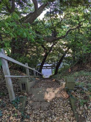 愛宕神社の参拝記録(はしどいさん)