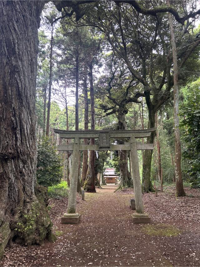 六所神社の参拝記録8