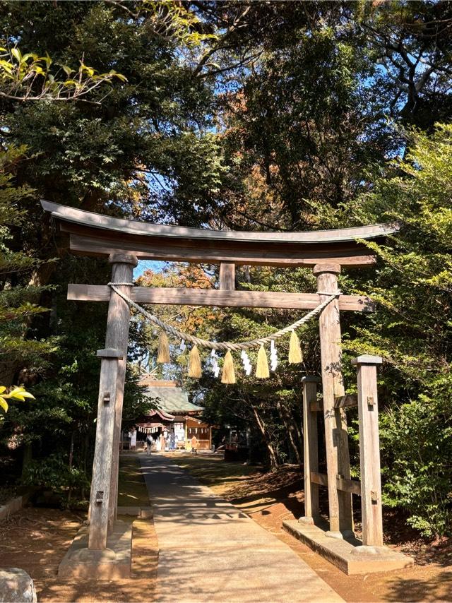 熊野神社の参拝記録(すずめさん)