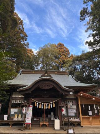 熊野神社の参拝記録(すずめさん)