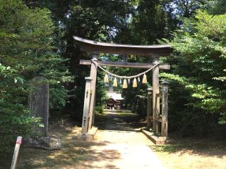 成田豊住熊野神社の参拝記録(Mieさん)