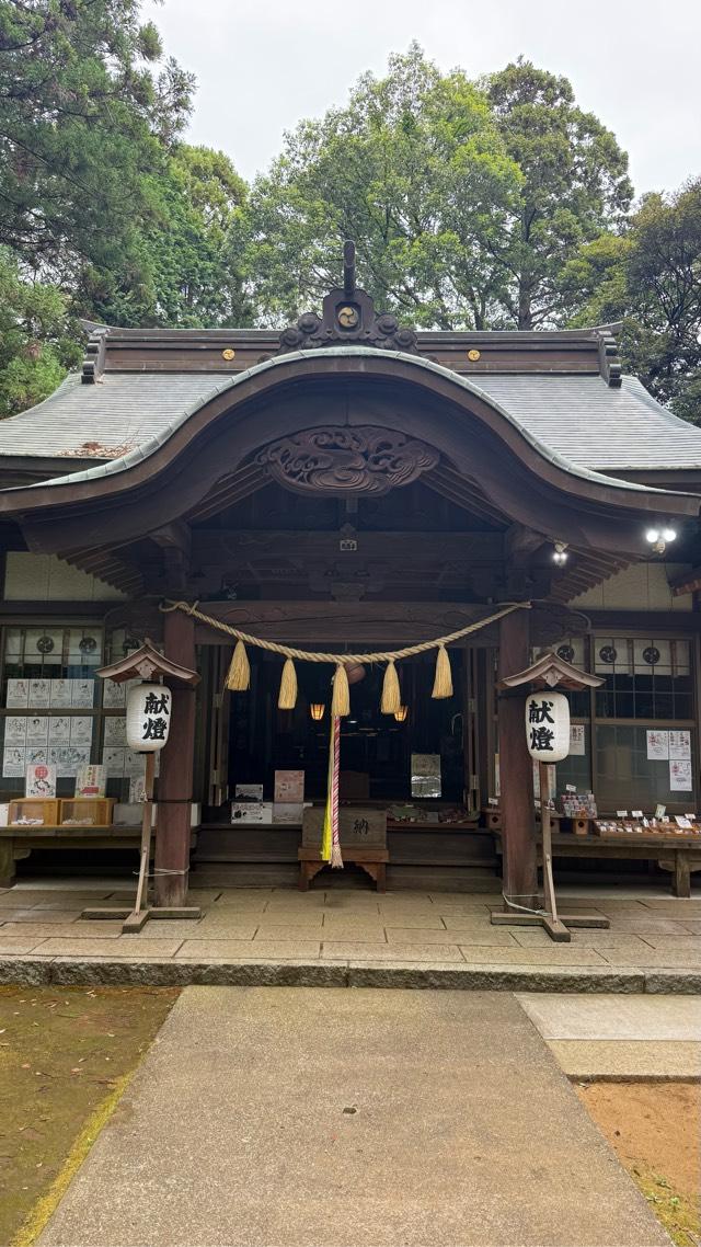成田豊住熊野神社の参拝記録9