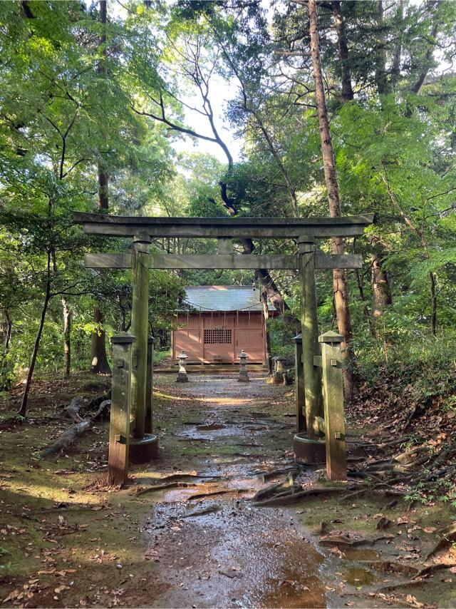 千葉県成田市成毛578番地 稲荷神社の写真2