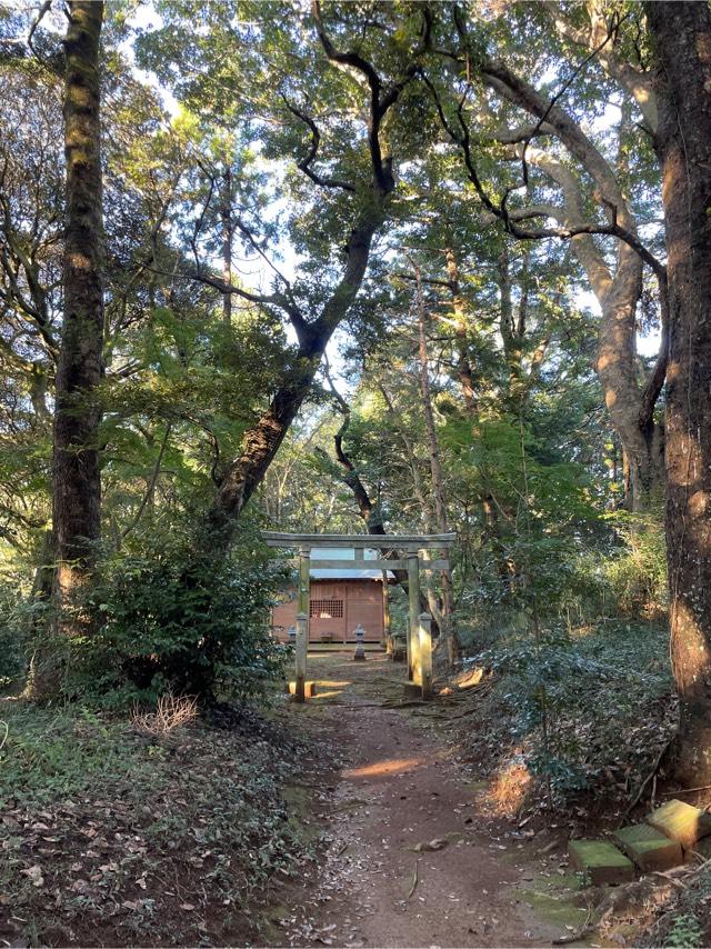 千葉県成田市成毛578番地 稲荷神社の写真1