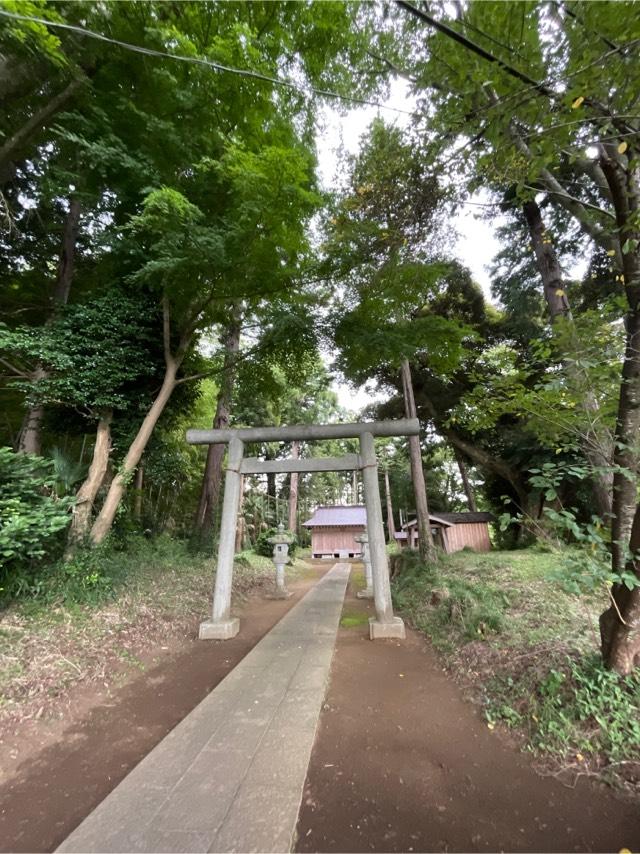 千葉県成田市大字野毛平498番地 皇神社の写真1