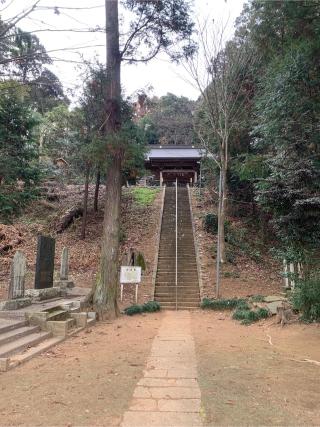 八坂神社の参拝記録(ねこチャリさん)
