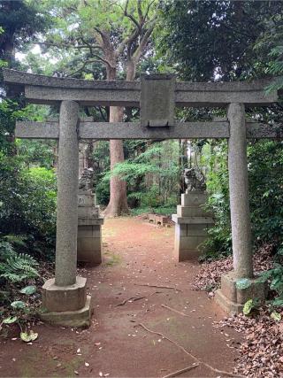 大宮神社の参拝記録(ねこチャリさん)