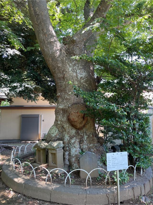 千葉県佐倉市臼井126番地 稲荷神社の写真2