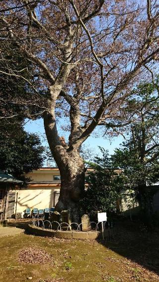 稲荷神社の参拝記録(ミィちゃんさん)