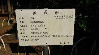 稲荷神社の参拝記録(ミィちゃんさん)