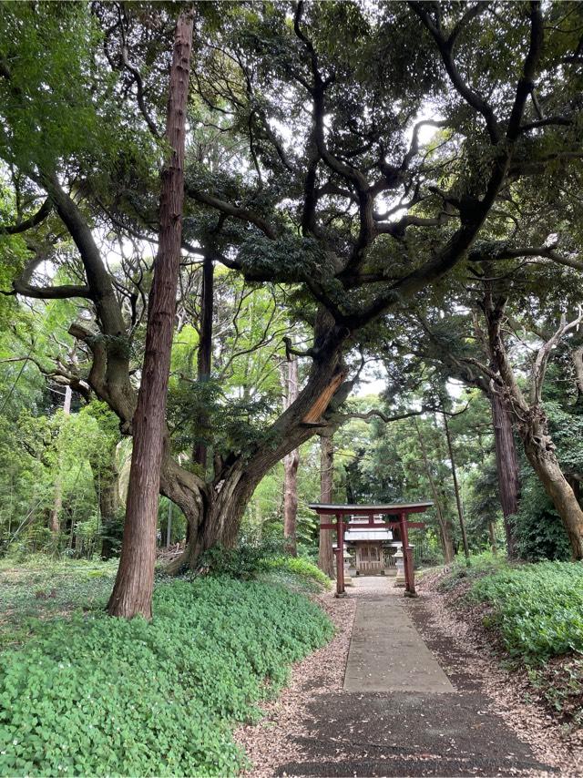 八幡神社の参拝記録2
