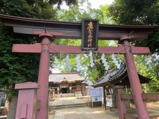 麻賀多神社の参拝記録(さくらもちさん)