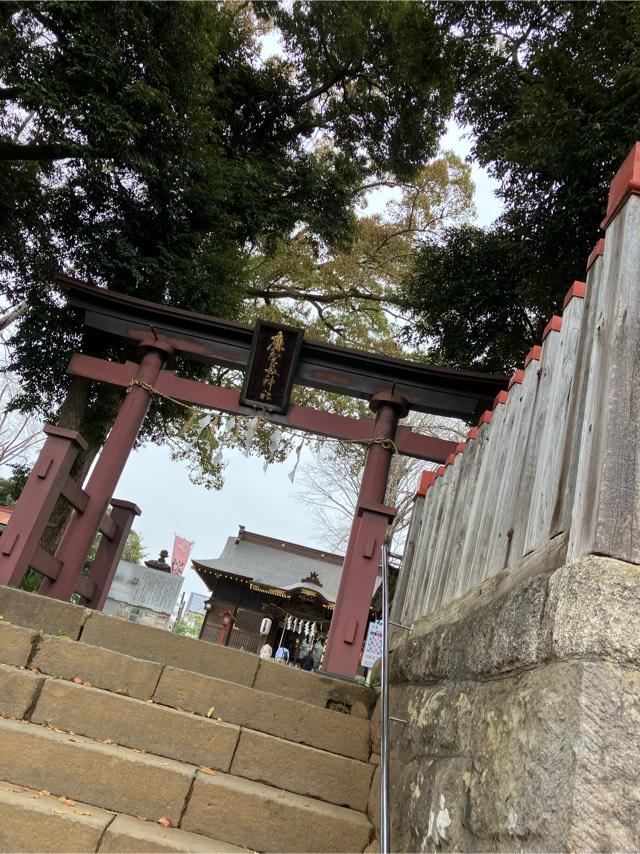 麻賀多神社の参拝記録(ともももさん)