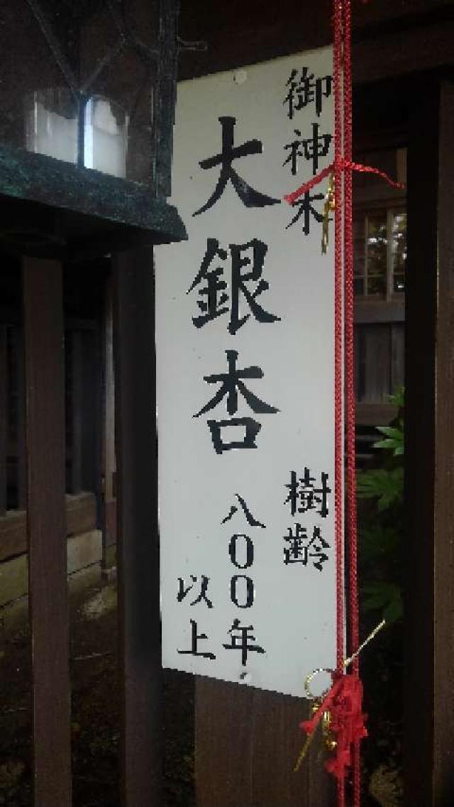 千葉県佐倉市鏑木町933番地1 麻賀多神社の写真9