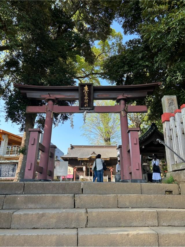 麻賀多神社の参拝記録10