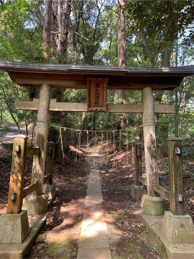 春日神社の参拝記録2