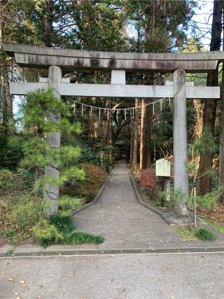香取神社の参拝記録(ねこチャリさん)