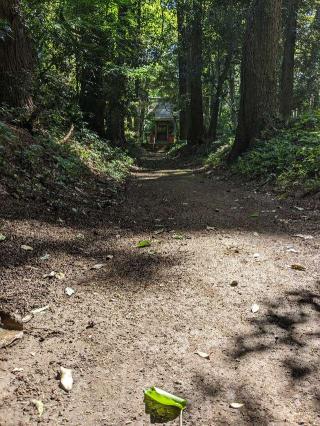 愛宕神社の参拝記録(はしどいさん)