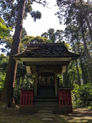 愛宕神社の参拝記録(はしどいさん)