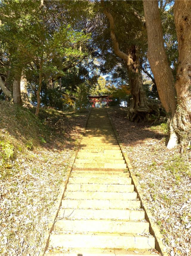 大宮神社の参拝記録1