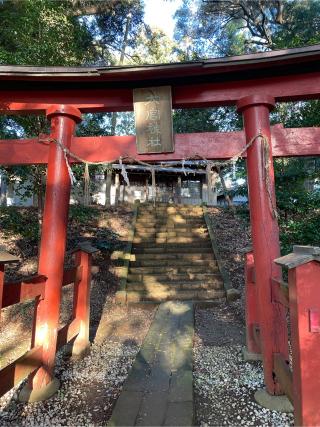 大宮神社の参拝記録(ねこチャリさん)