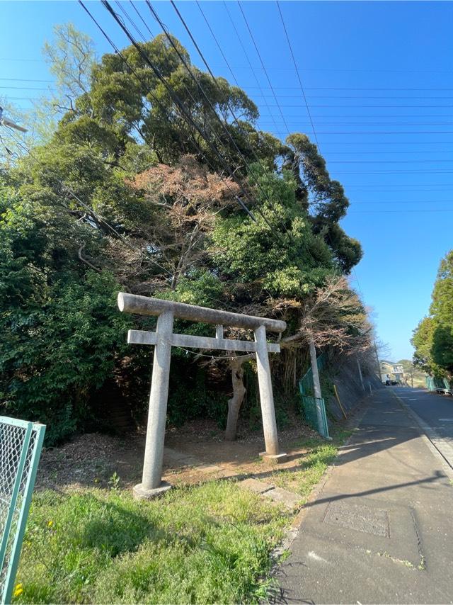 千葉県八街市雁丸9番地 大宮神社の写真1