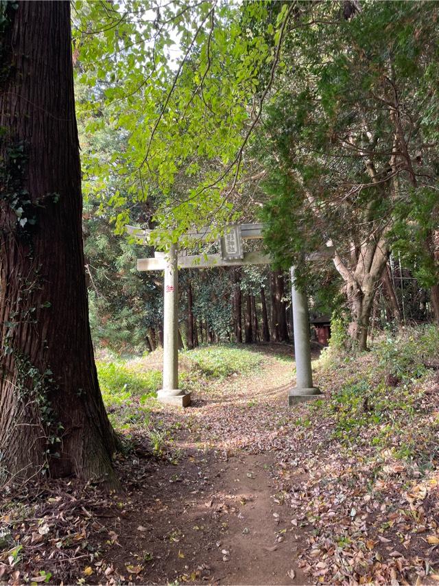 千葉県富里市大和603番地1 駒形神社の写真1
