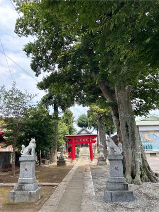 七栄稲荷神社の参拝記録(ねこチャリさん)