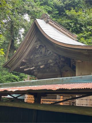 宗像神社の参拝記録(ねこチャリさん)