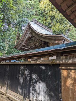 宗像神社の参拝記録(はしどいさん)