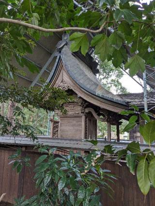 大日神社の参拝記録(はしどいさん)