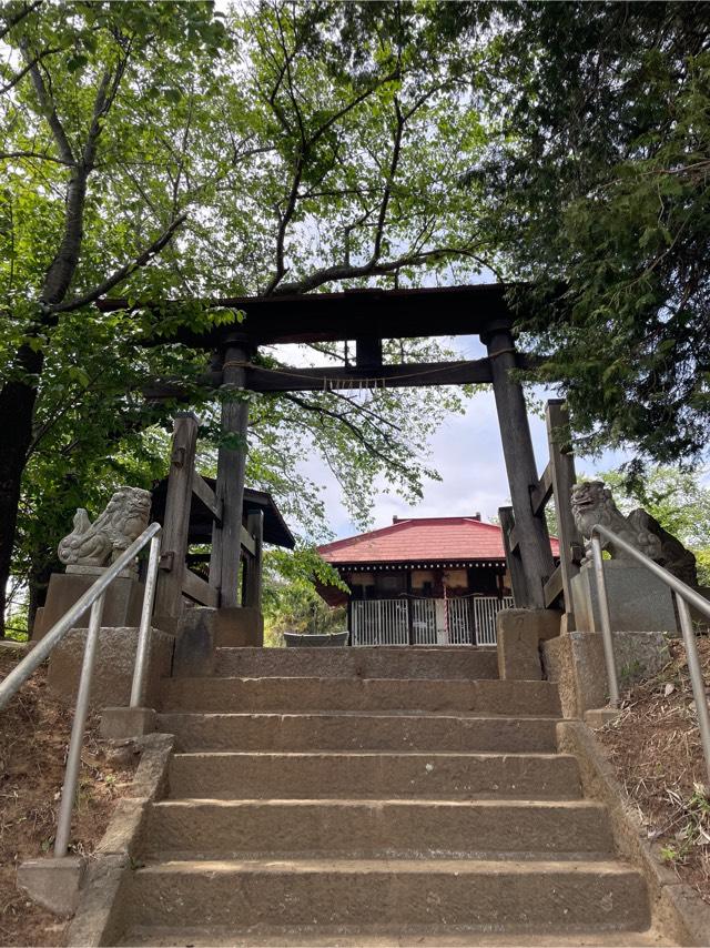 千葉県白井市名内586番地 粟嶋神社の写真1
