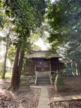 今井稲荷神社の参拝記録(ねこチャリさん)