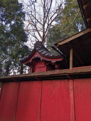 今井稲荷神社の参拝記録(はしどいさん)