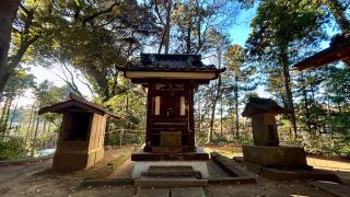 阿夫利神社の参拝記録(金猿さん)
