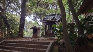 阿夫利神社の参拝記録(猫狂さん)