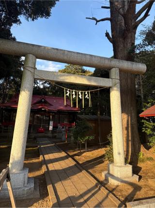 鳥見神社の参拝記録(⛩️🎠🐢まめ🐢🎠⛩️さん)