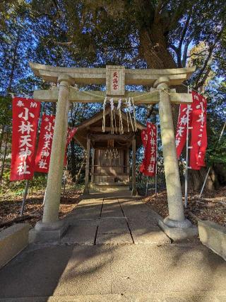 鳥見神社の参拝記録(はしどいさん)