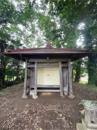 氷川神社の参拝記録(ねこチャリさん)